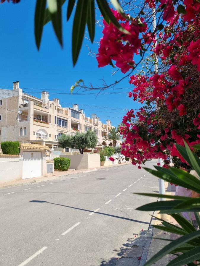 Flamenco Penthouse Sea View & Swimming Pool Lägenhet Torrevieja Exteriör bild